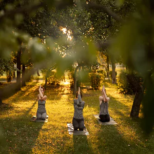 Yoga Lawn